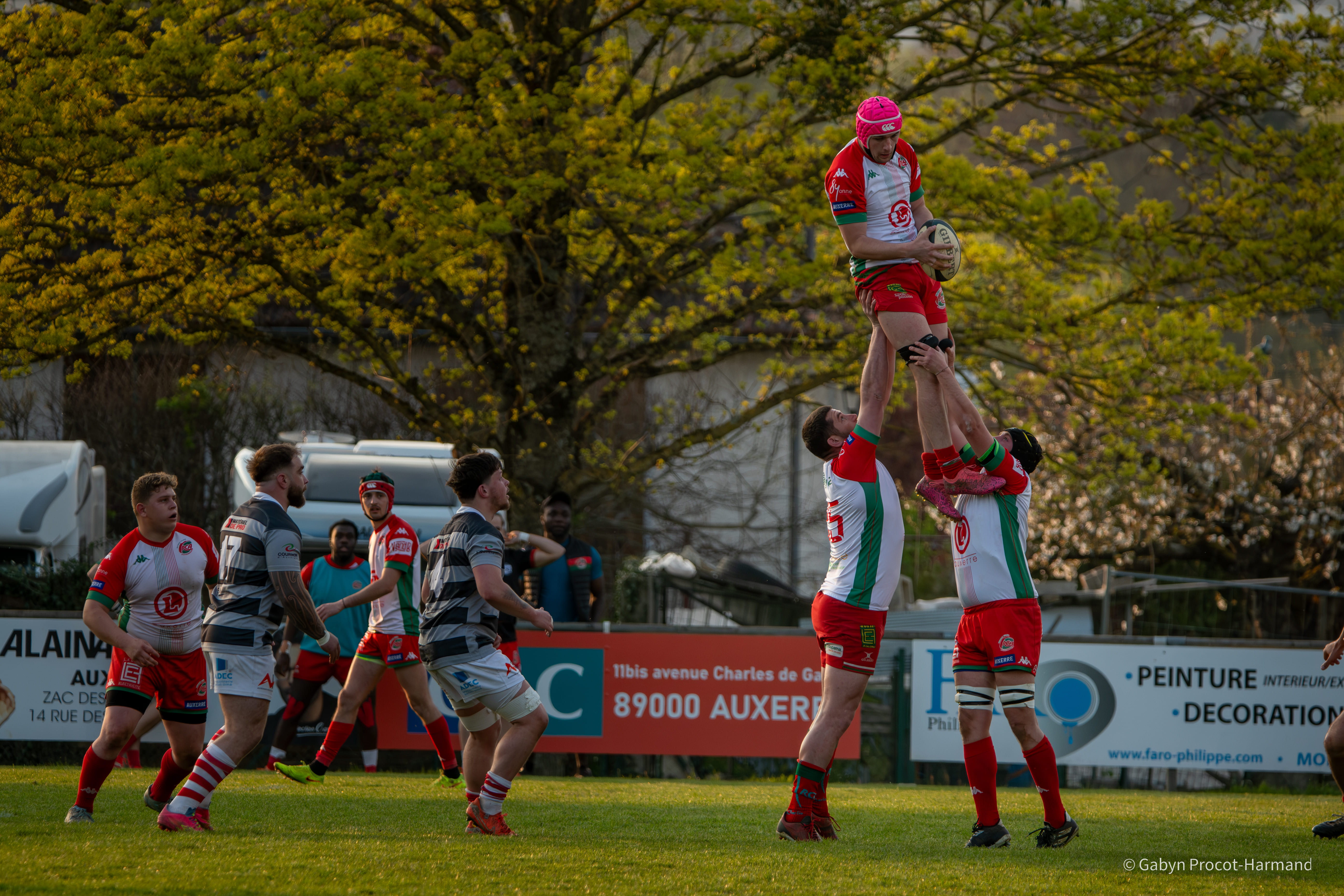 rugby